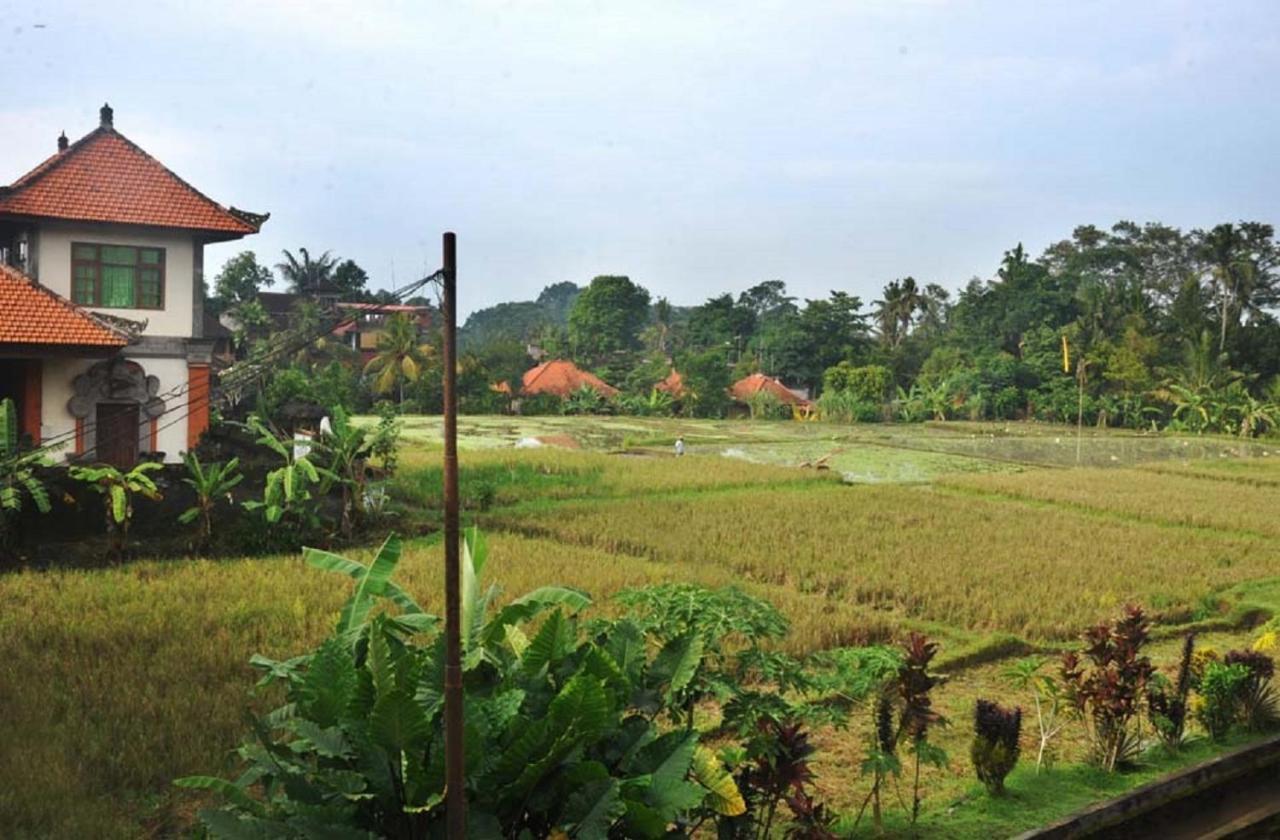 Candra Asri Bungalow Ubud Eksteriør billede